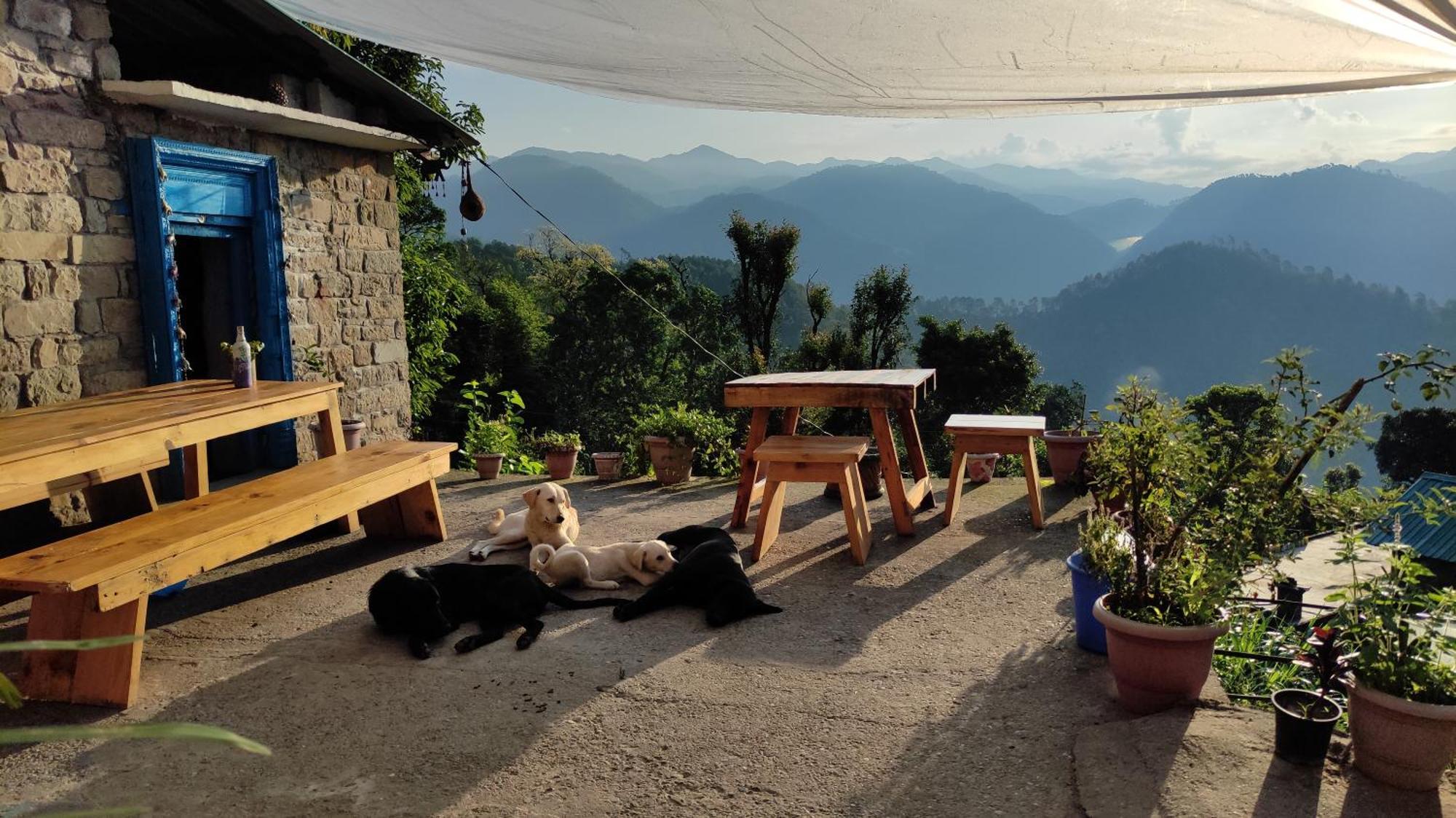 Vista Hostel Jeolikote, Nainital Patwa Dunga Kamer foto