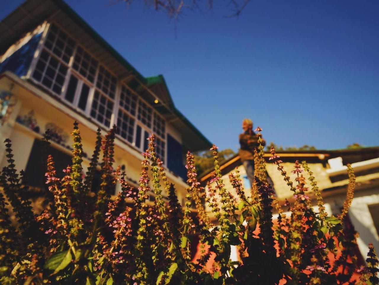 Vista Hostel Jeolikote, Nainital Patwa Dunga Buitenkant foto