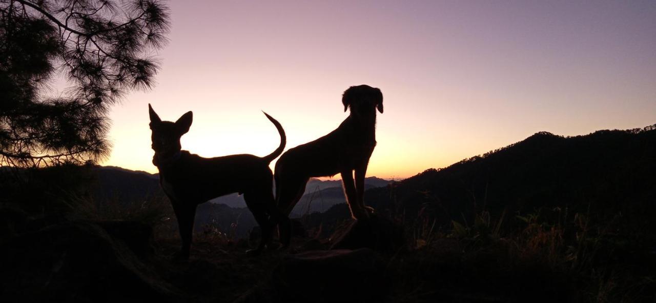Vista Hostel Jeolikote, Nainital Patwa Dunga Buitenkant foto